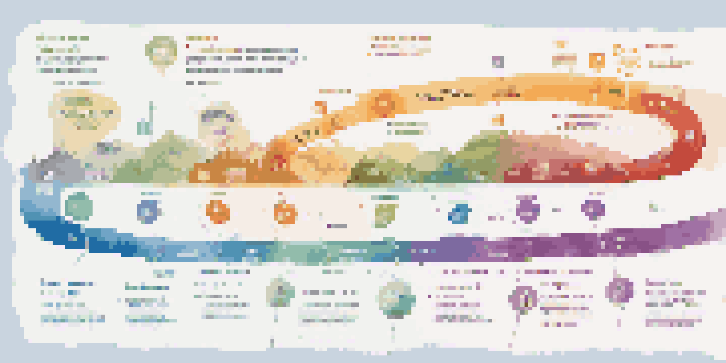 An infographic showing the stages of customer journey mapping with colorful icons and a flowing timeline.