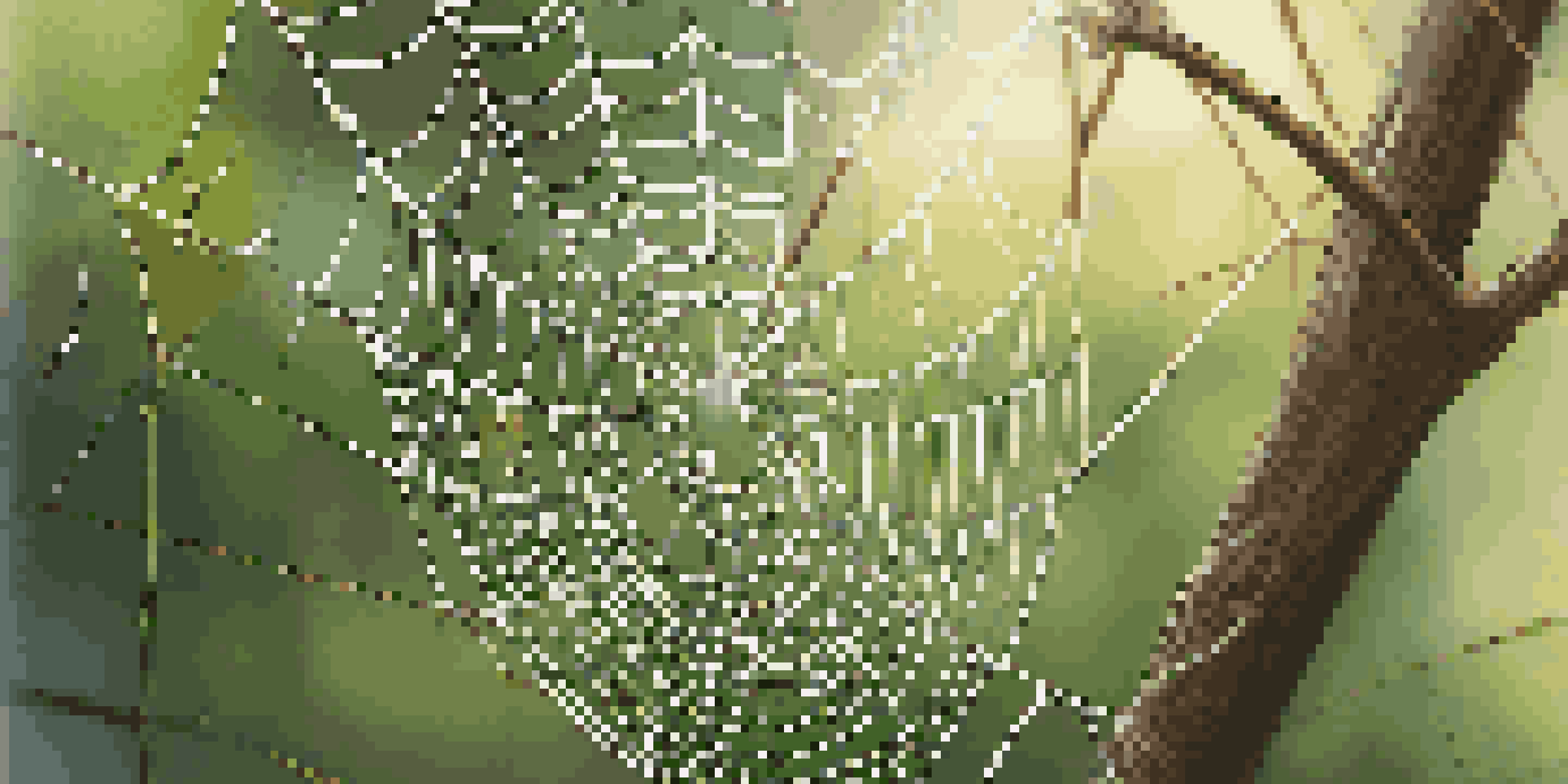 A close-up of a spider web with dew drops, representing interconnected vendor relationships, set against a blurred green background.