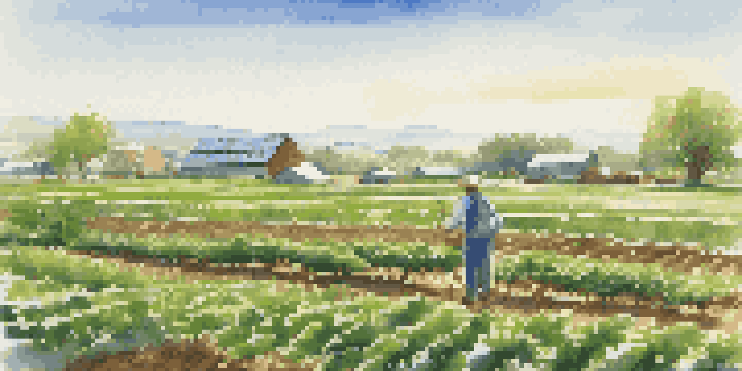 A sustainable farm landscape with green crops, solar panels, and a farmer in warm morning light.