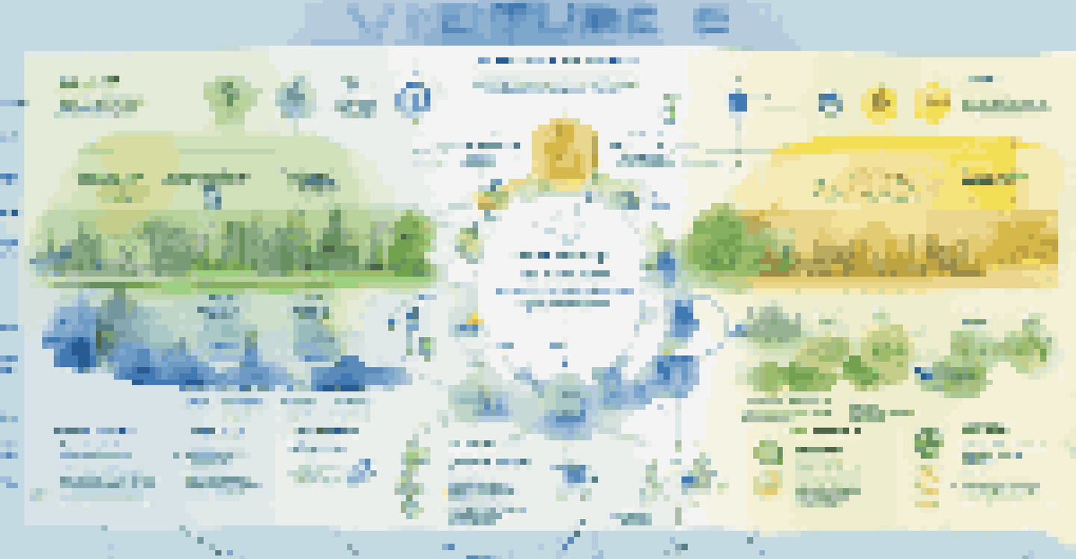 An infographic depicting the venture capital process with colorful icons and clear stages from pitch to funding.