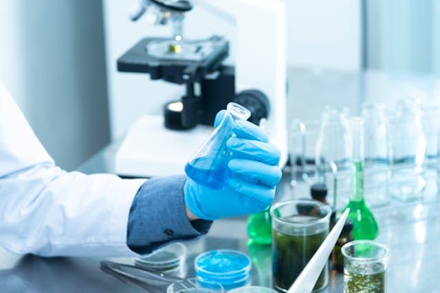 Breakthrough Funding: Top Scholarships for STEM Students This Year
