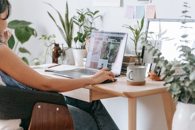 Green Jobs Marketplace: The Labor Market's Sustainable Future