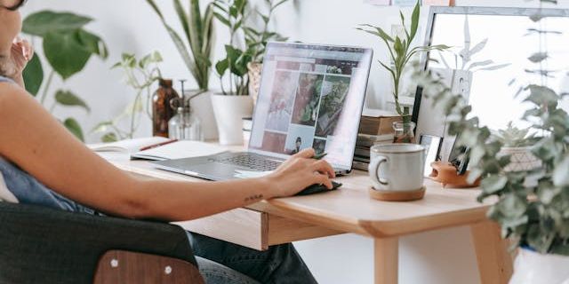 Green Jobs Marketplace: The Labor Market's Sustainable Future