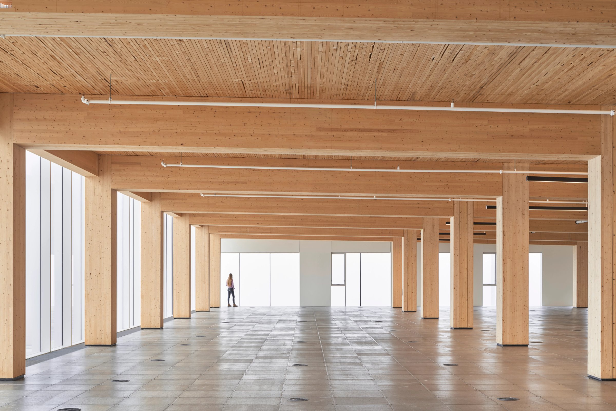 Open floor of mass timber columns and beams