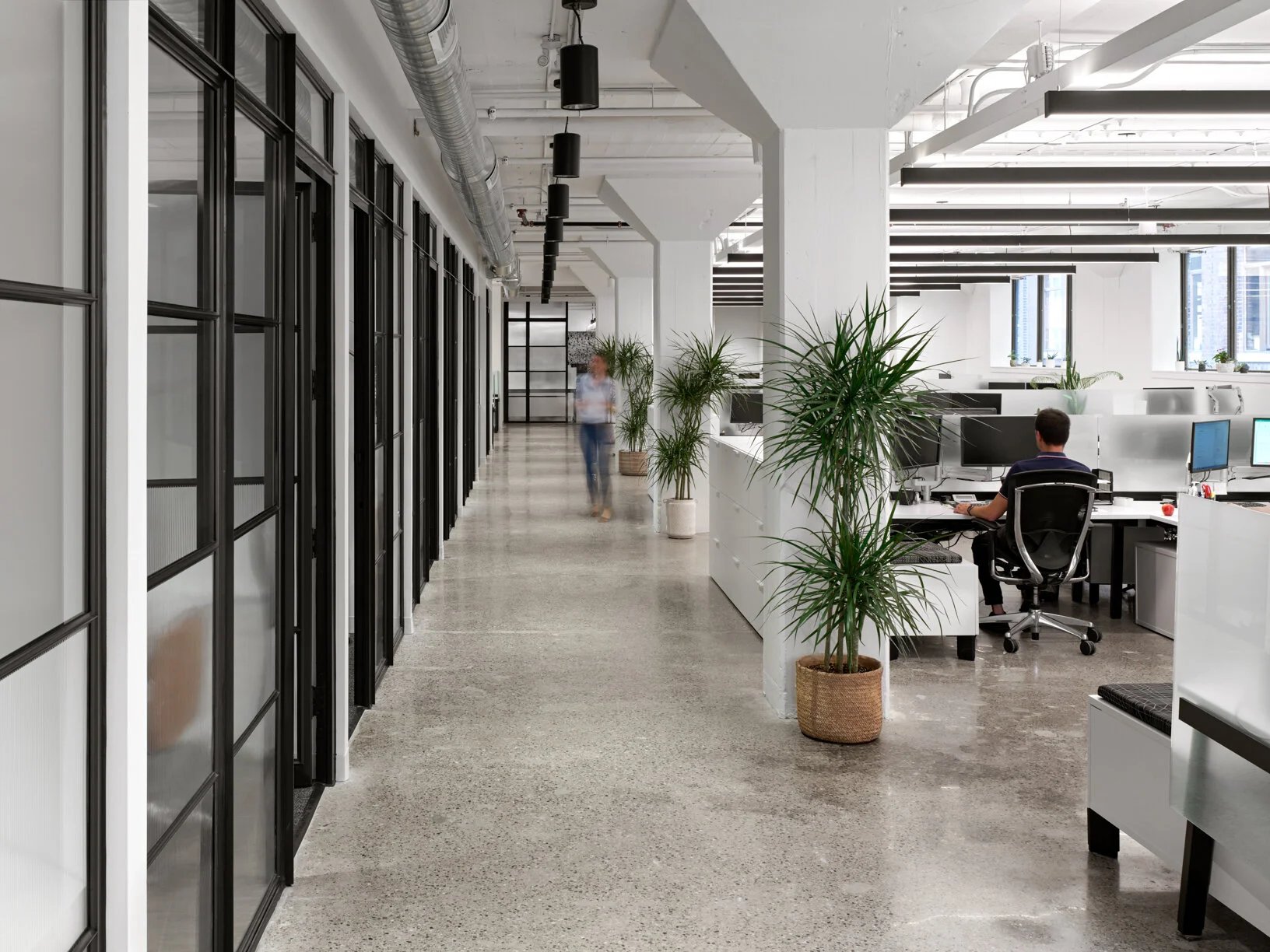 Open-plan office corridor with potted plants
