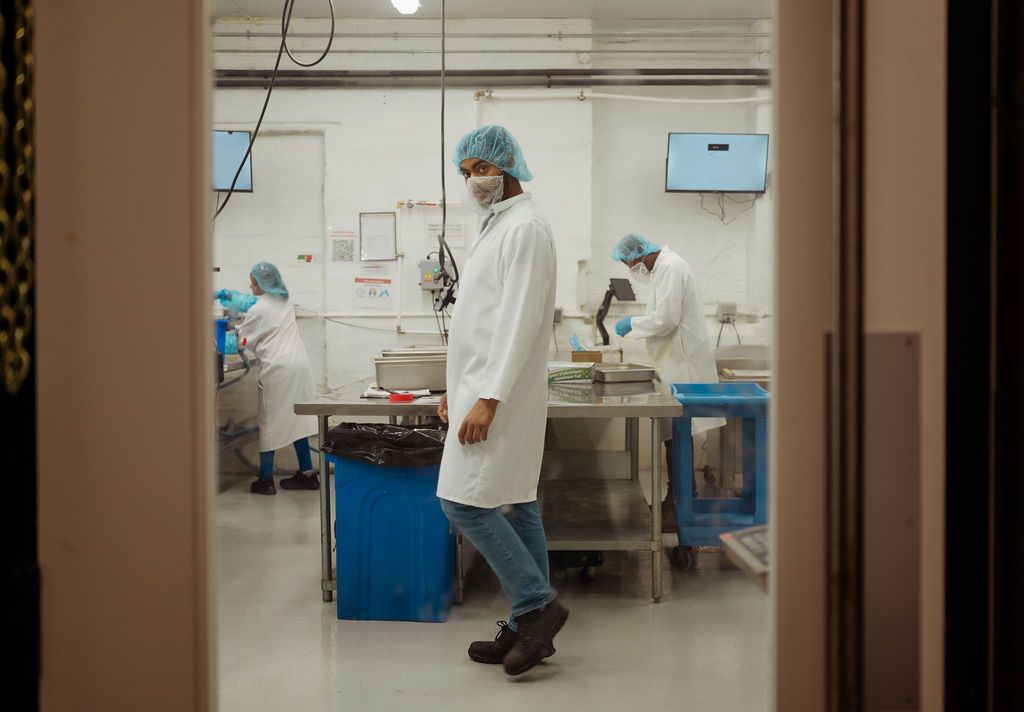 New School Foods: Engineering the Future of Food