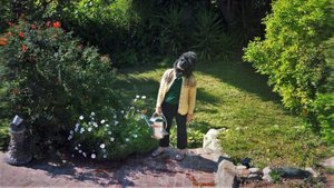 2022 soluciotristesa