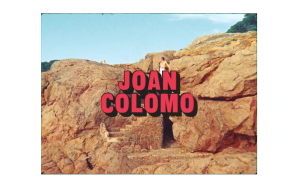 2016 joan colomo
