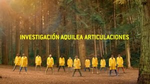 2017 aquilea