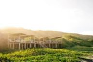 Raised timber shade decks on stilts among green dune vegetation at golden hour, hills rising behind.