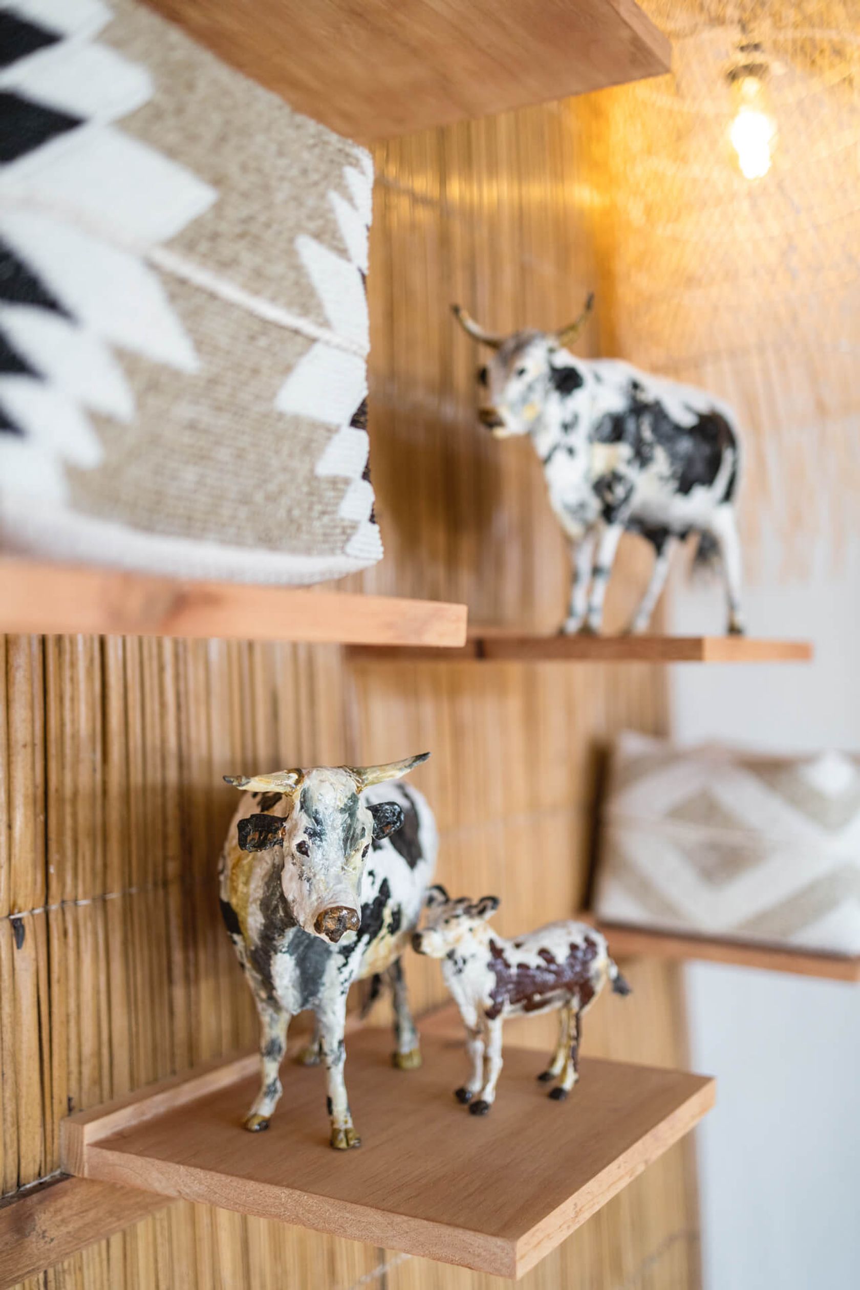 Painted Nguni cattle figurines, a bull, cow and calf, displayed on wooden shelves against a reed wall.