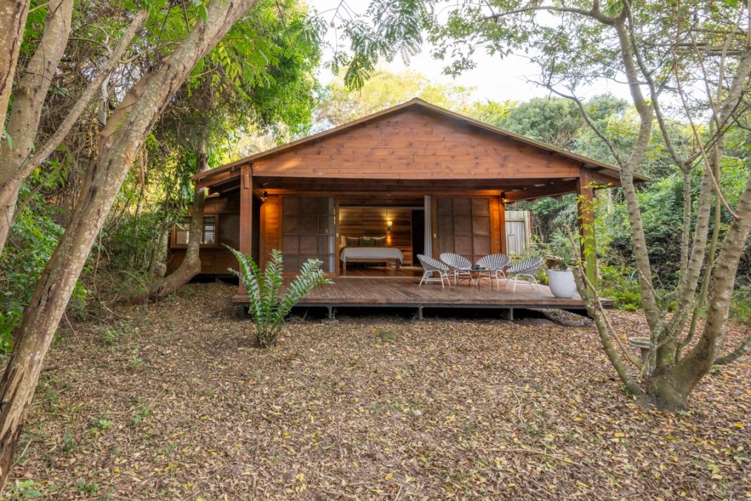 The family room's timber cabin and wide raised deck sit in a clearing of the dune forest, its sliding screens open to the bedroom.