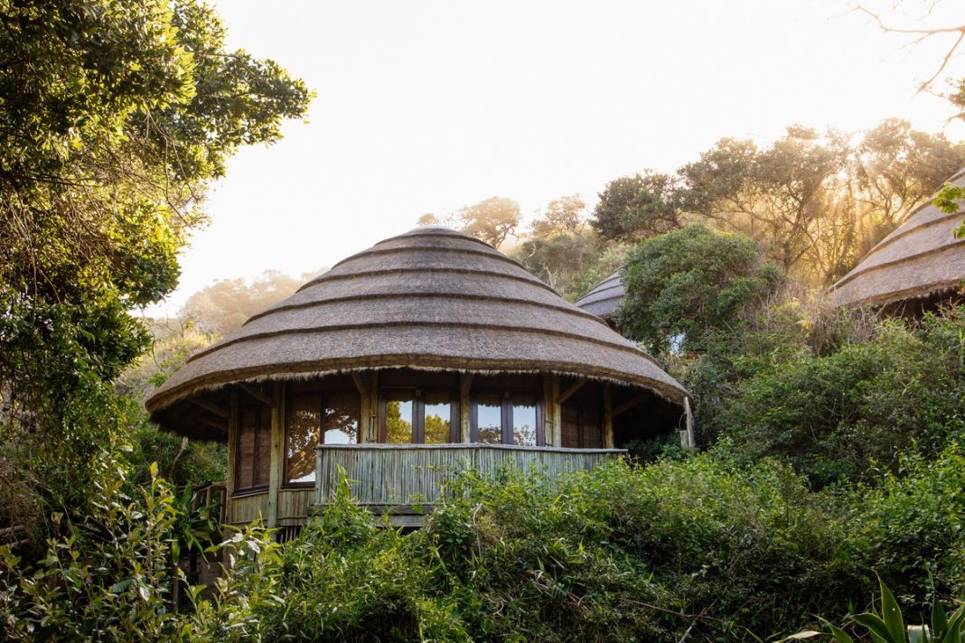 A thatched-dome cabin tucked into the dune forest, backlit by sun through the canopy.