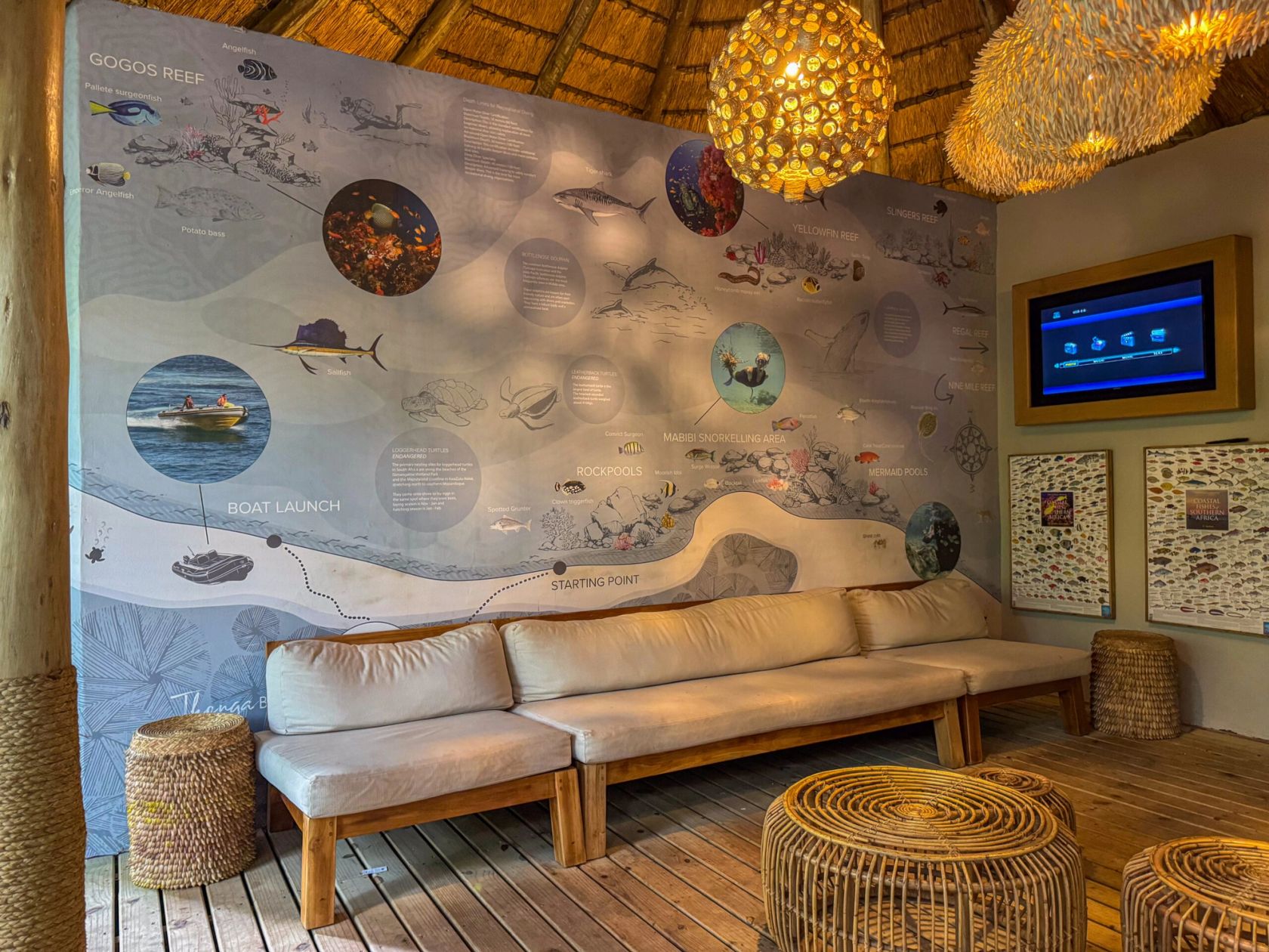 Lounge area with a cream sofa below a large illustrated reef and snorkelling map, capiz pendant lights overhead.