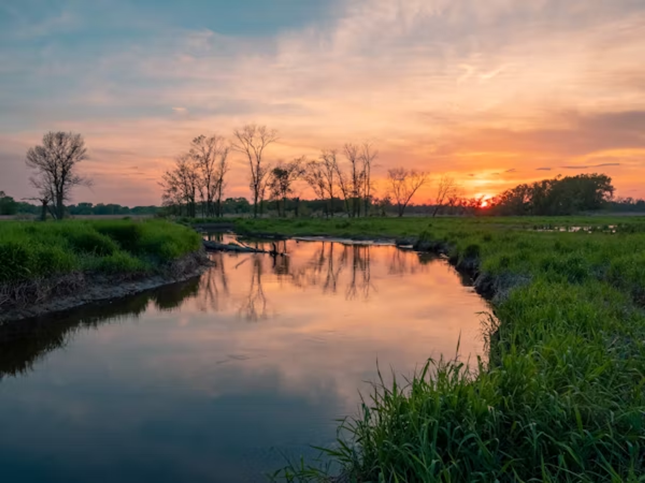 wetlands during suns