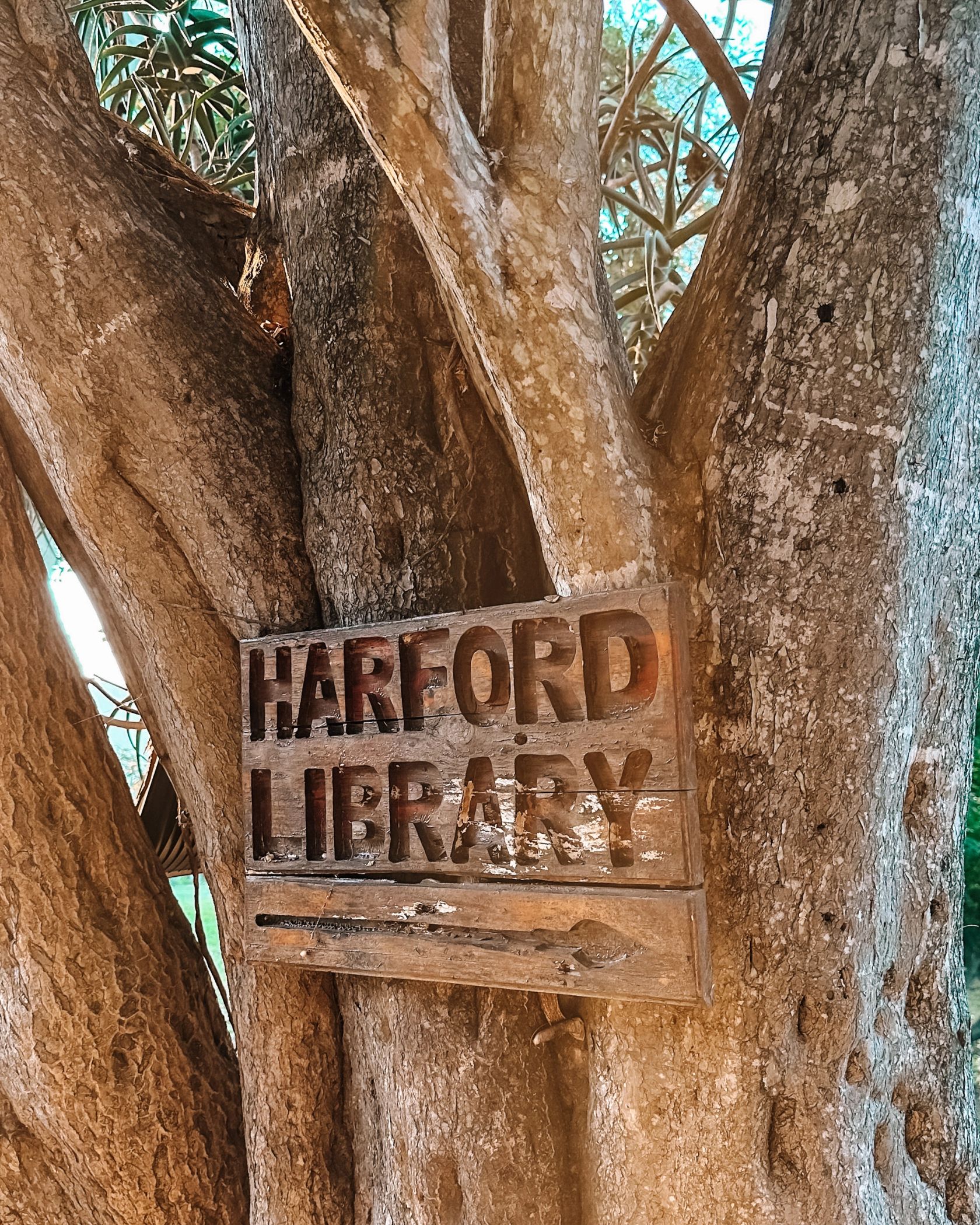 A carved wooden Harford Library sign fixed to a tree trunk.