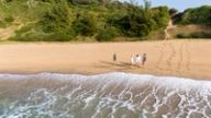 Four guests walk along an empty beach between the dune forest and the breaking surf.
