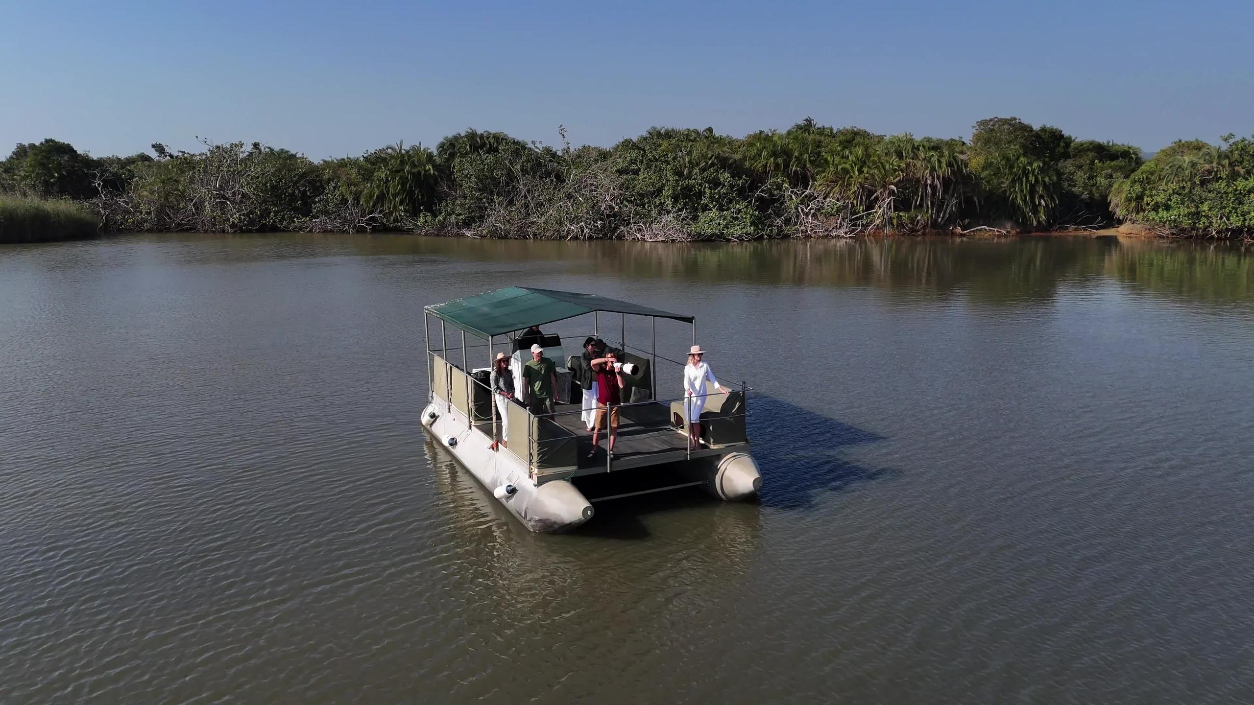 The Boat Safari