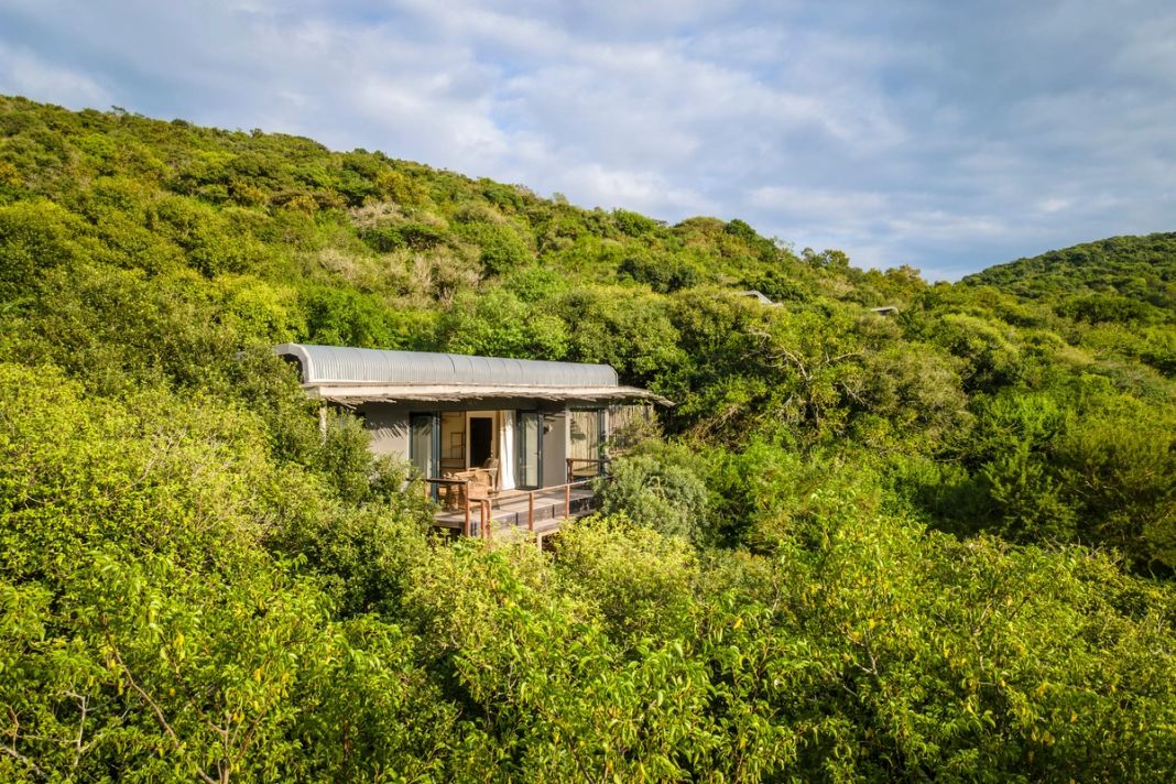 A curved-roof suite with open glass doors and a timber veranda set among dense green forest on a hillside.