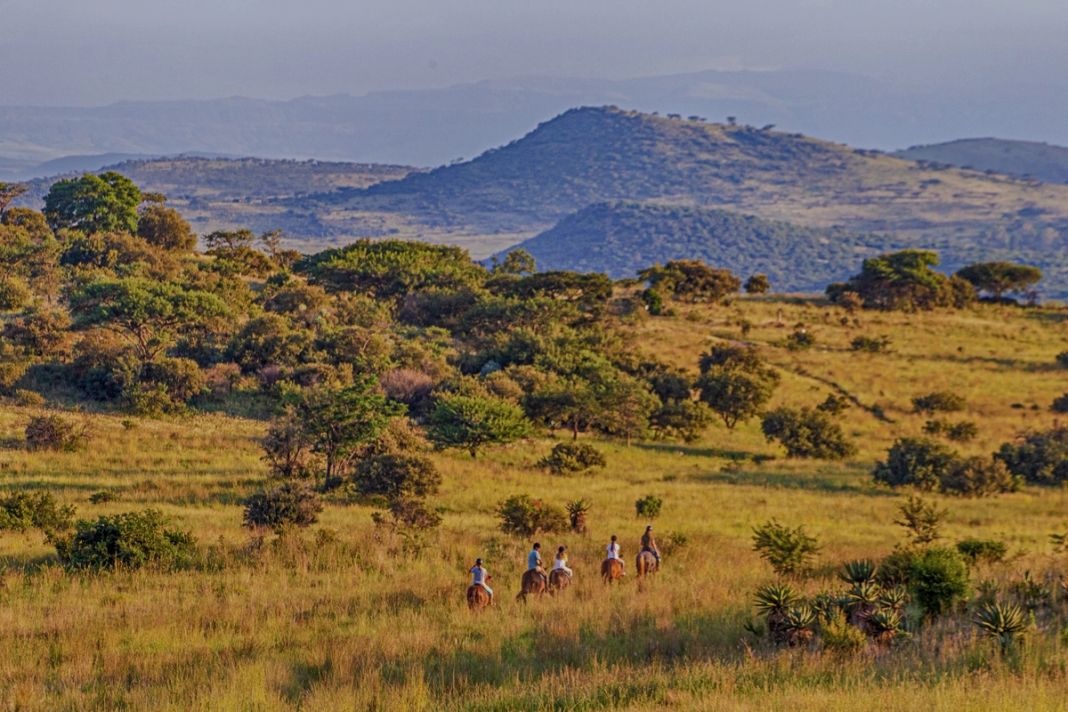 Five riders on horseback cross golden grassland with scattered aloes below layered hills in warm evening light.