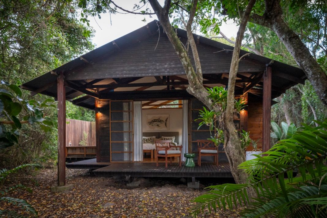 A wooden safari cabin with a furnished porch stands in thick dune forest.