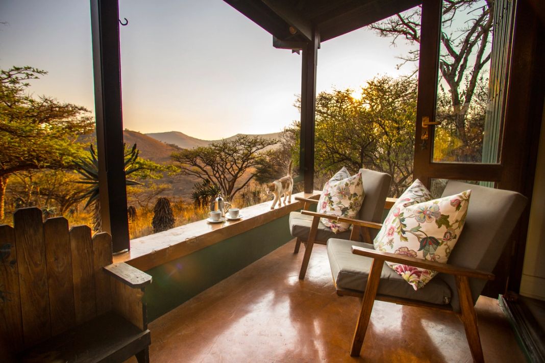A cottage veranda at sunset with two armchairs, coffee set on the ledge and a cat walking past the bushveld view.