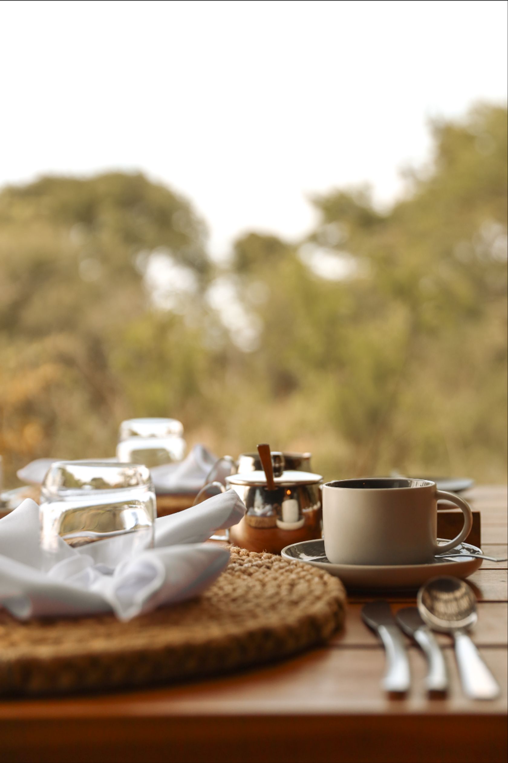 A ceramic coffee cup, sugar pot and folded napkin on a wooden deck table with blurred bushveld beyond.