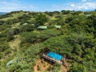 Looking down on a blue swimming pool on a raised timber deck, ringed by dense bush with green-roofed cottages on the slope beyond.