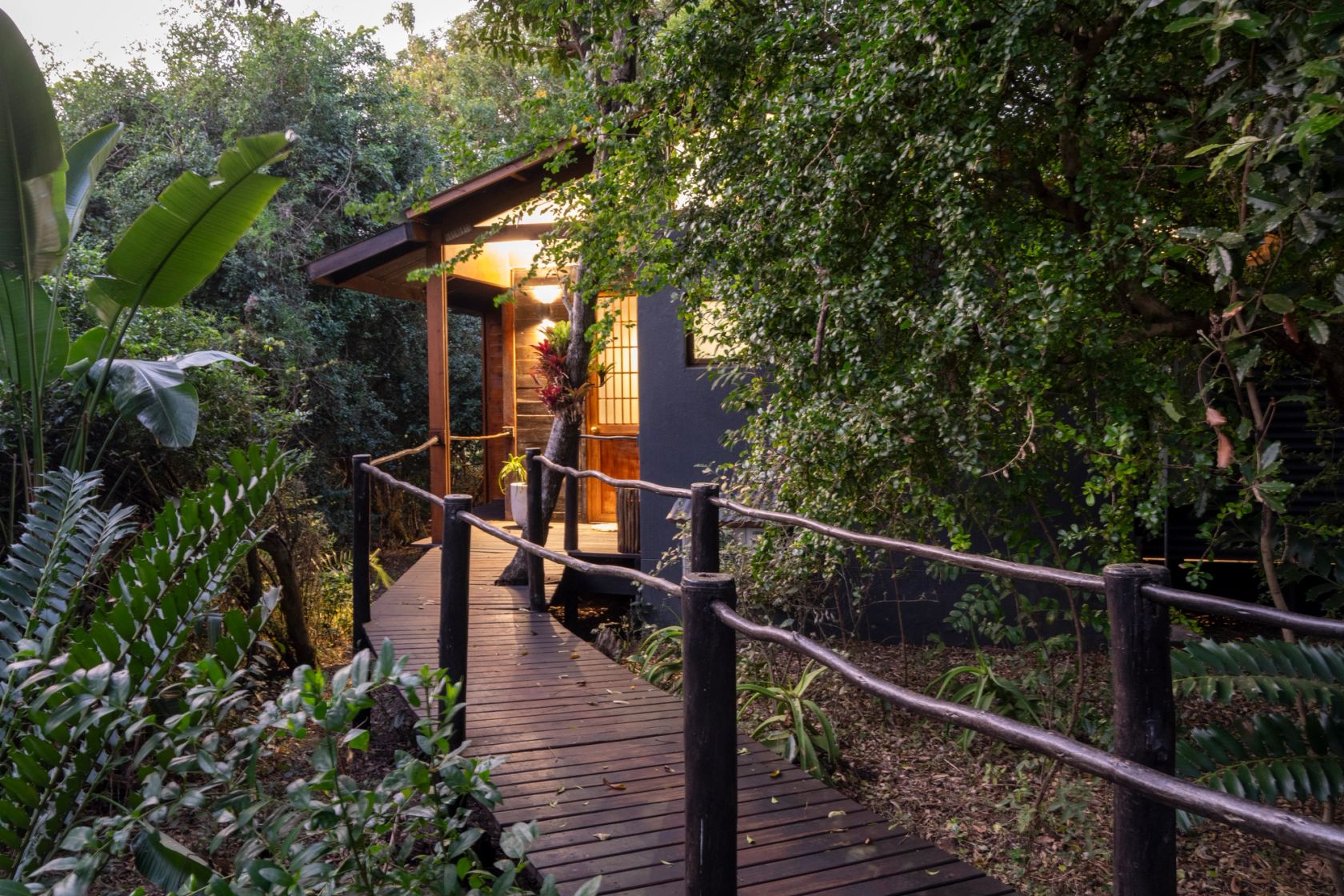 The timber boardwalk leads through dune forest to the lit entrance of a suite at dusk.