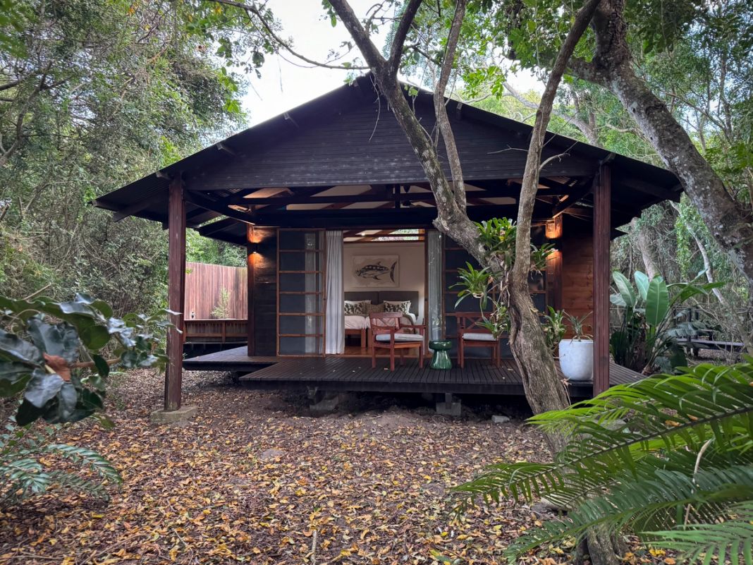A dark timber luxury suite stands on its raised deck beneath the dune forest canopy, screens open to the bedroom.