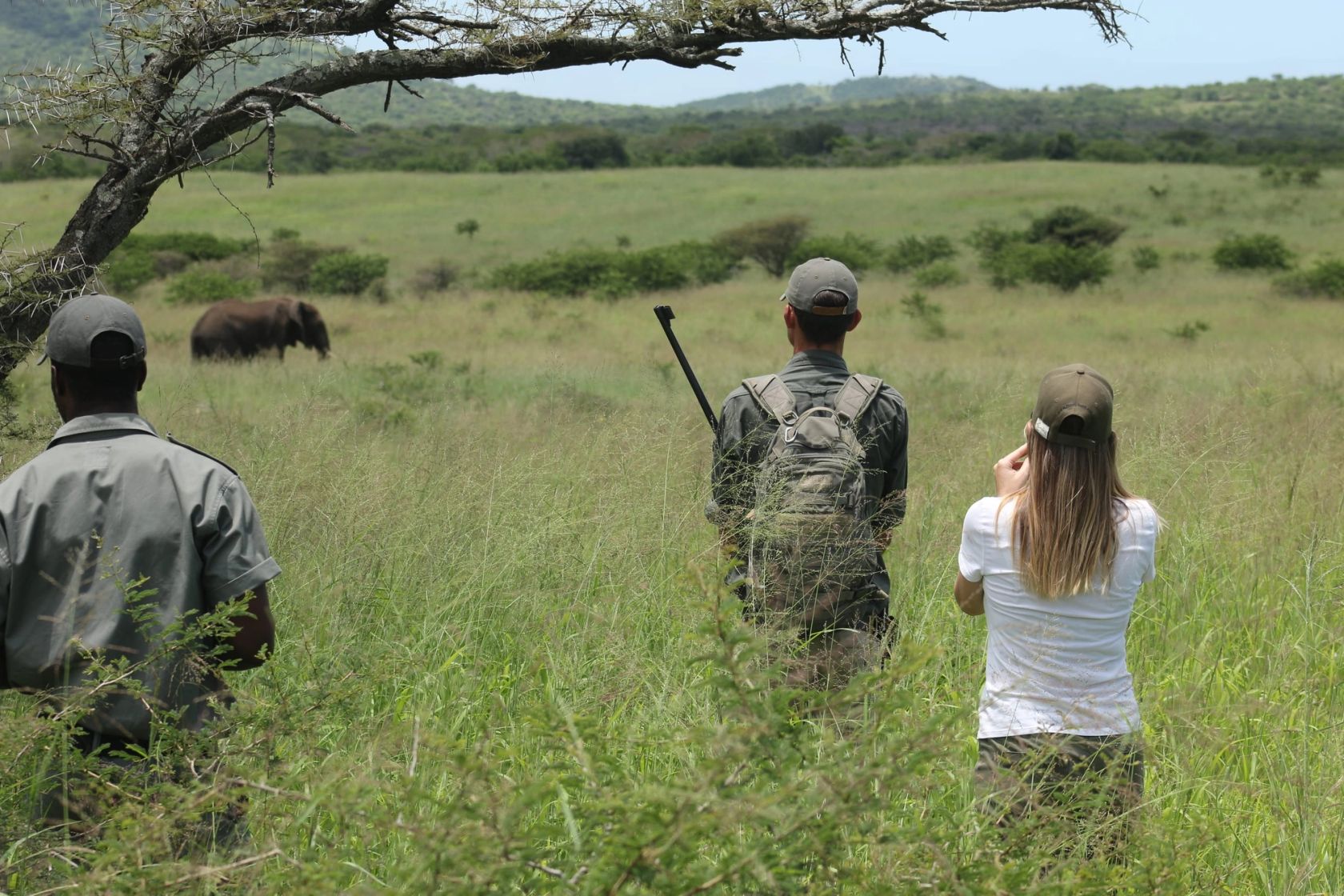 Three people stand in long grass under a thorn tree watching an elephant graze across an open valley.