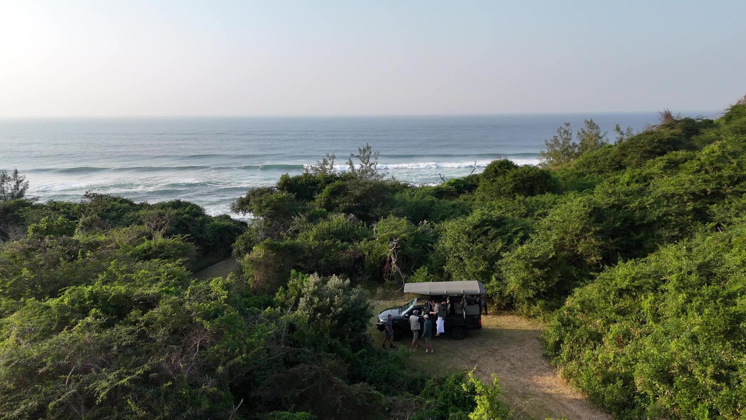 Beach & Bush Days
