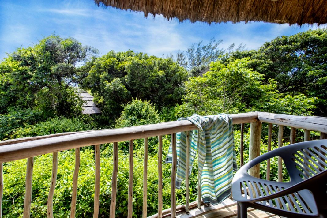 A private room deck with a timber balustrade and a chair looking over dense dune-forest canopy.