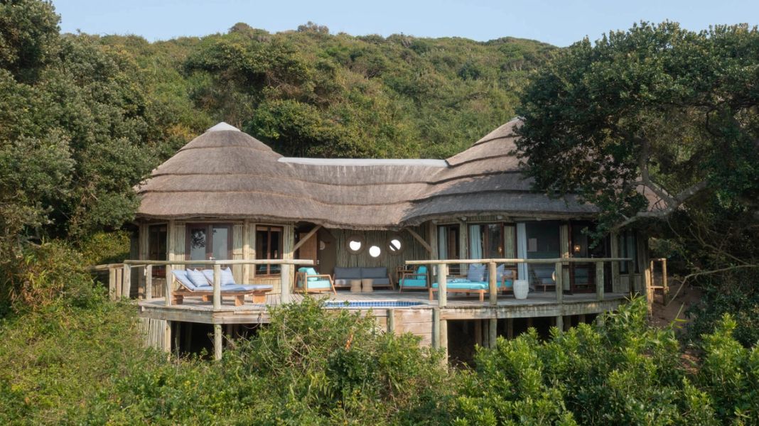 Two thatched suites with wooden decks, loungers and a plunge pool against green forest.