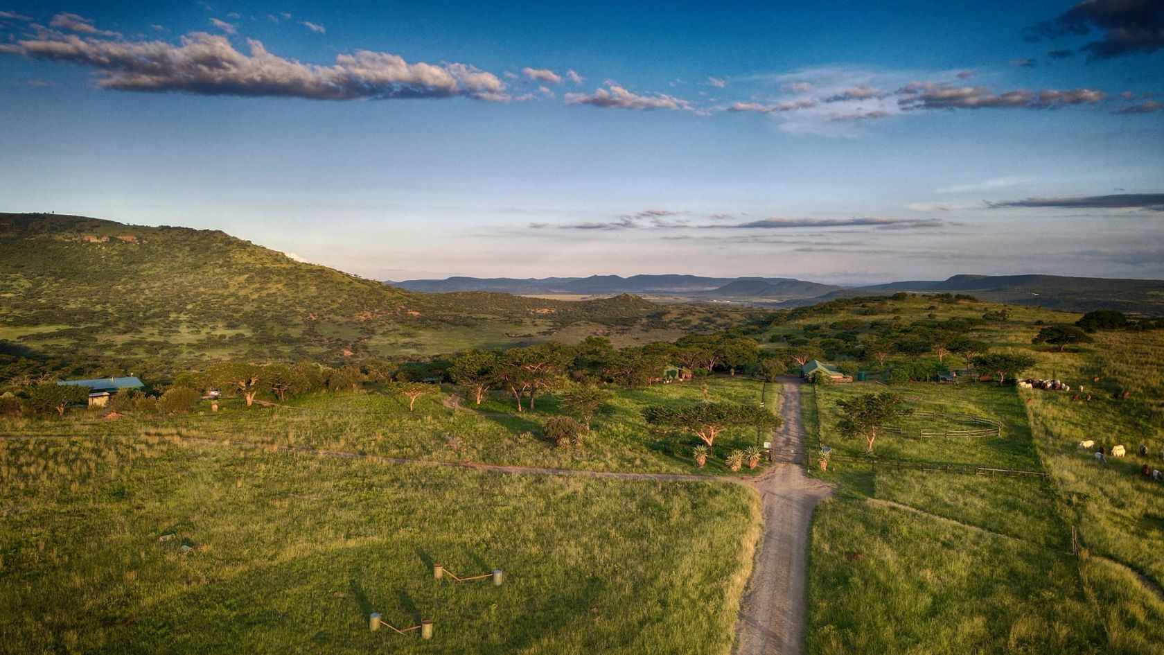 Golden-hour aerial of the farm entrance road winding through green grassland, with a horse paddock and grazing animals on the right.