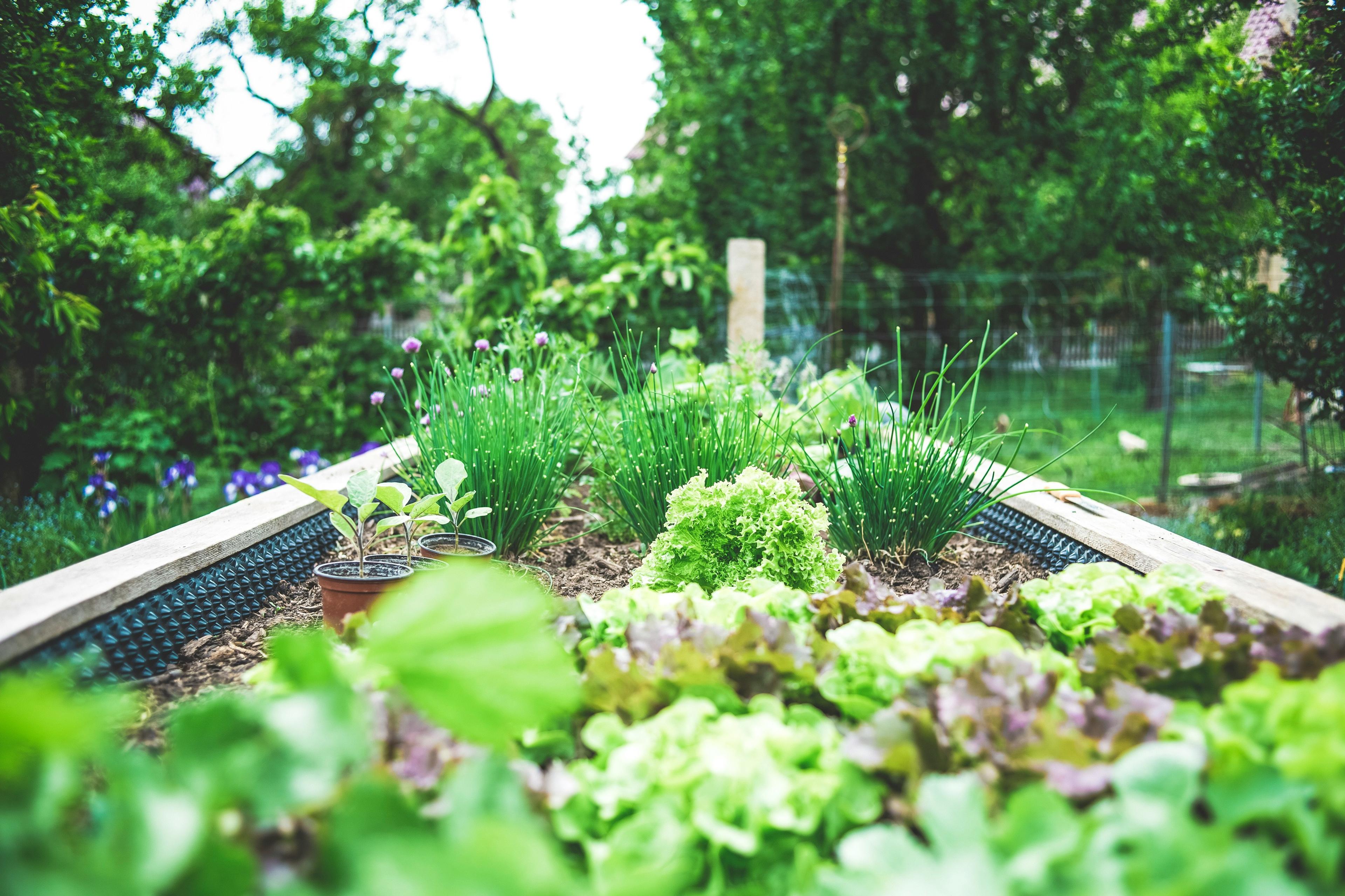 A small memorial garden
