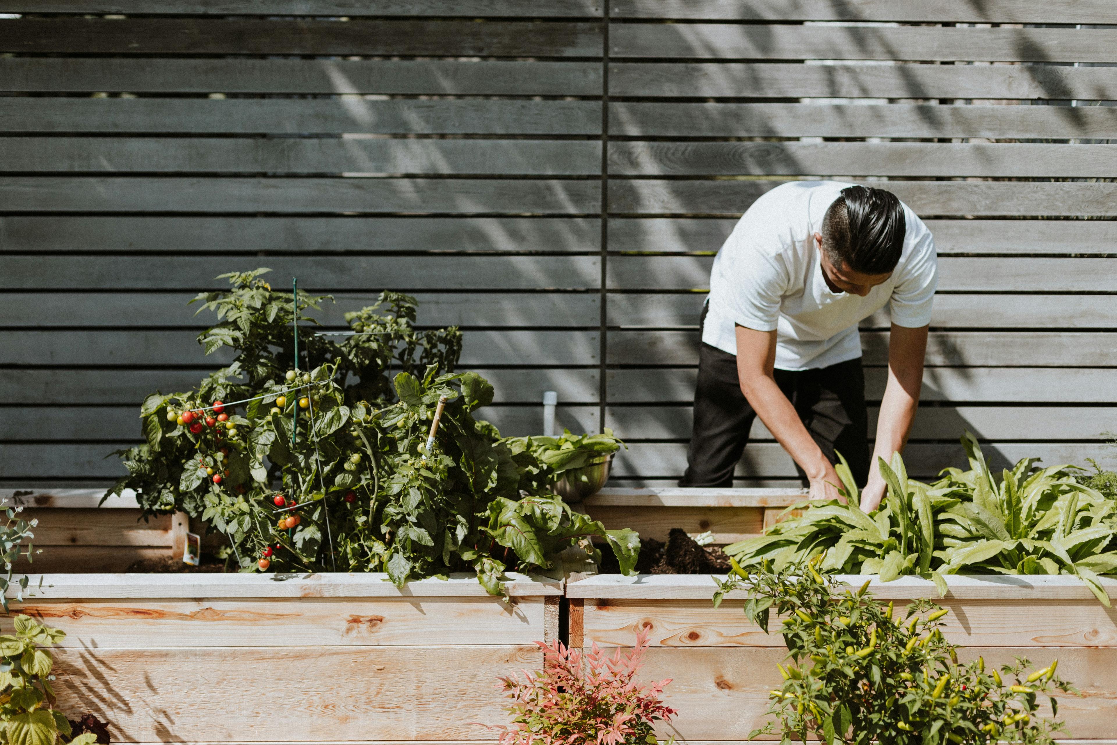 A man gardening