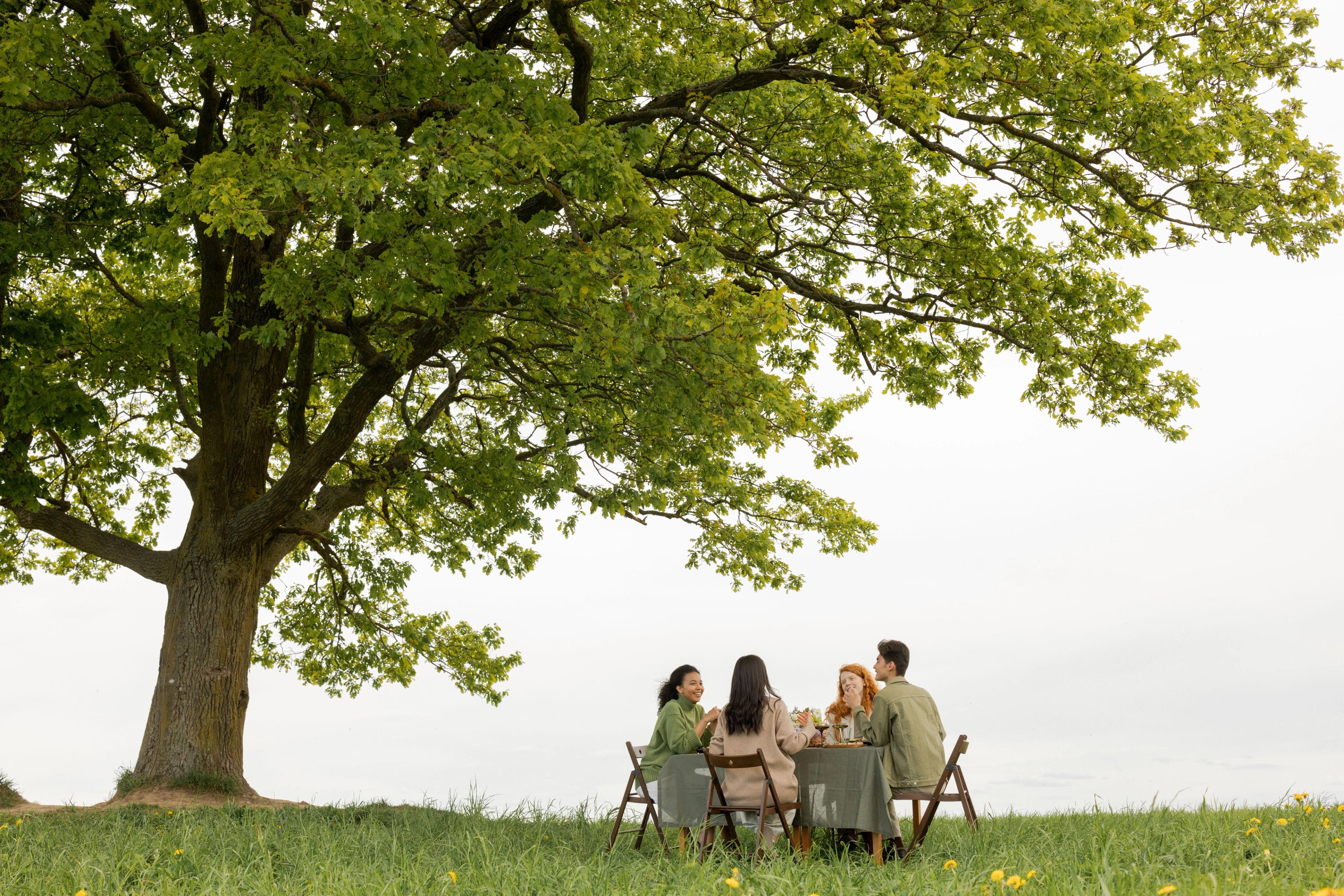 A family having a meal outside on a table and chairs