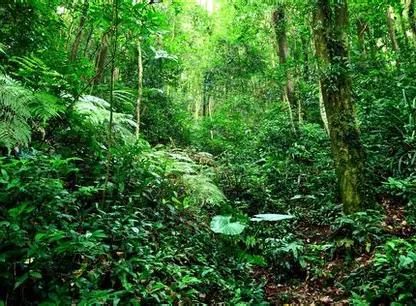 Tips Memilih Water Heater Sesuai Kebutuhan Rumah