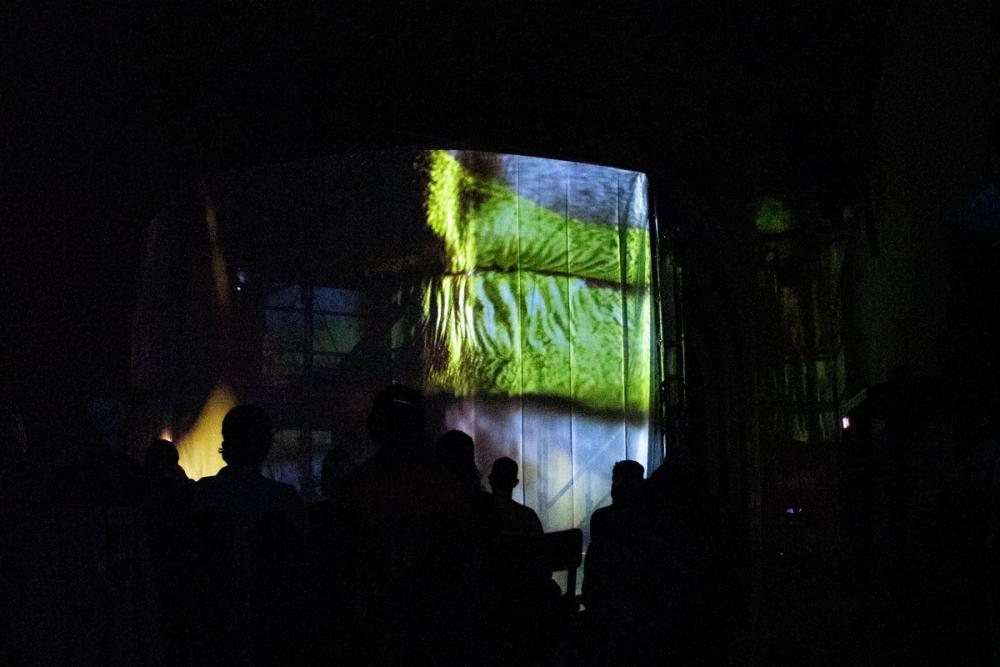 HUM-AN ORCHESTRA, image 6 of 6