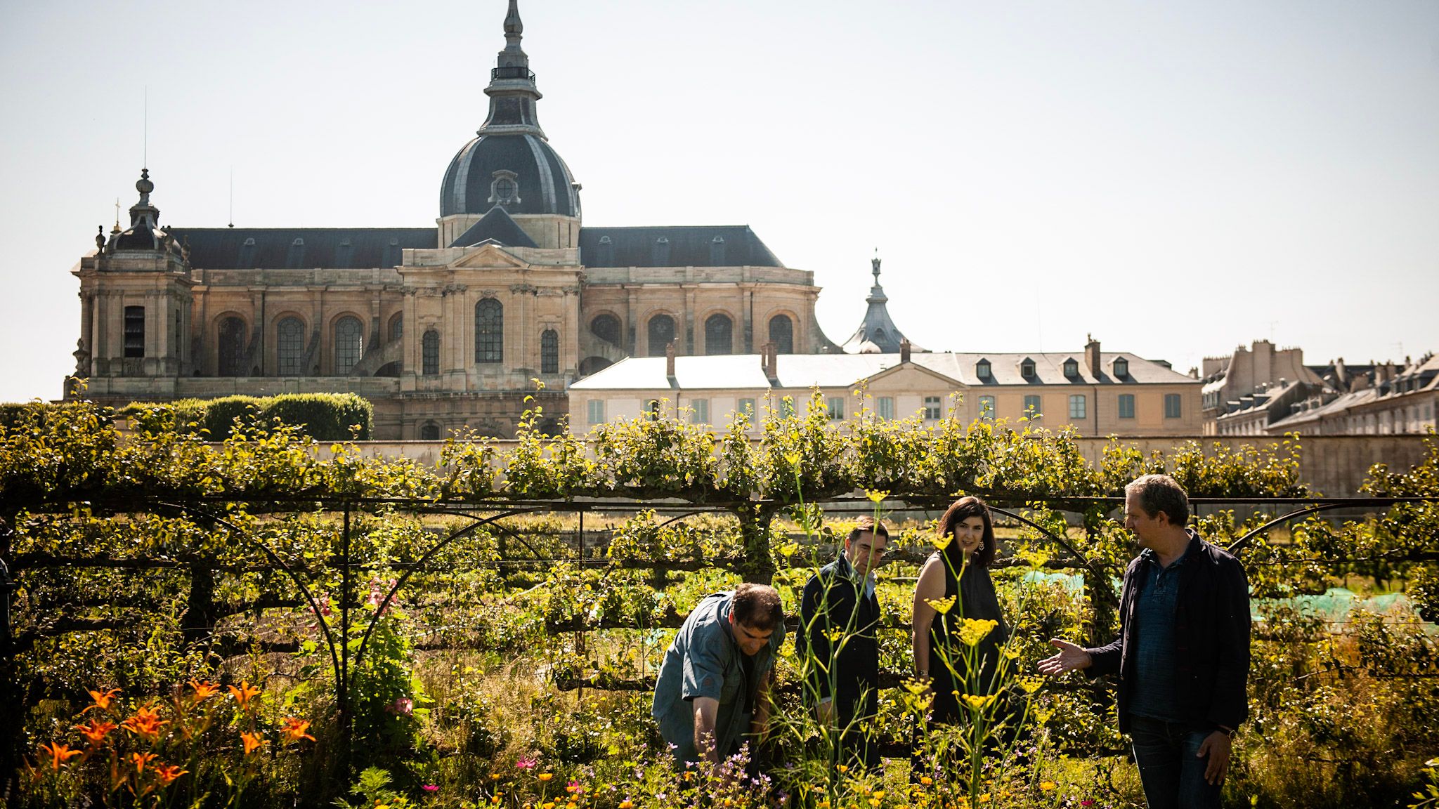 A walled French potager kitchen garden with a grand domed building beyond