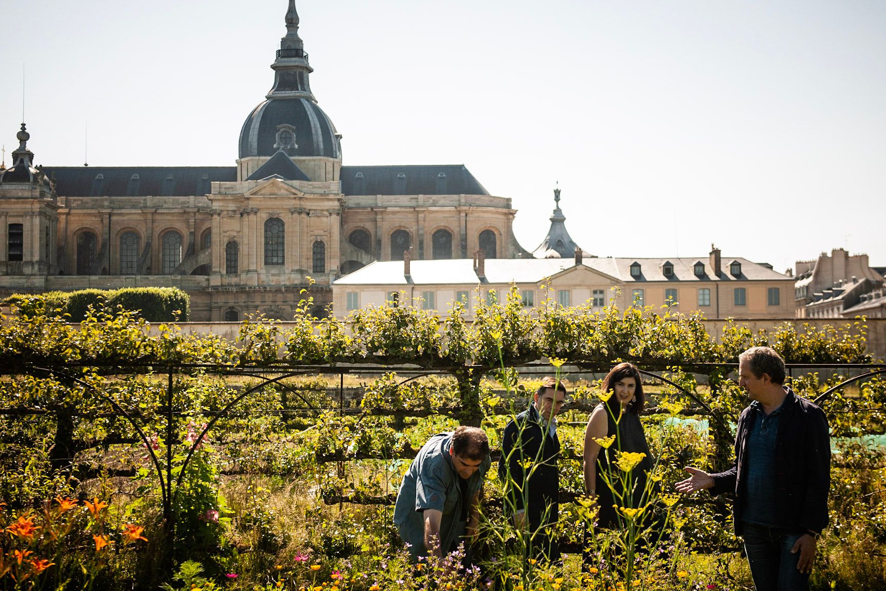A walled French potager kitchen garden with a grand domed building beyond