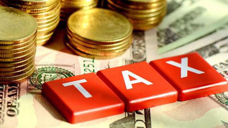 Taxpayer can't explain where she got the money to pay her expenses