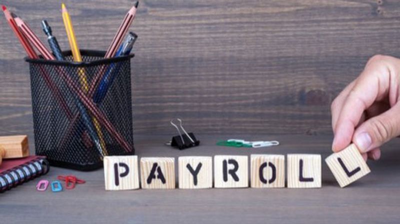 Single Touch Payroll: what you need to know