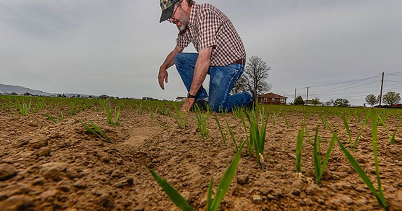 Tax support service for drought affected communities