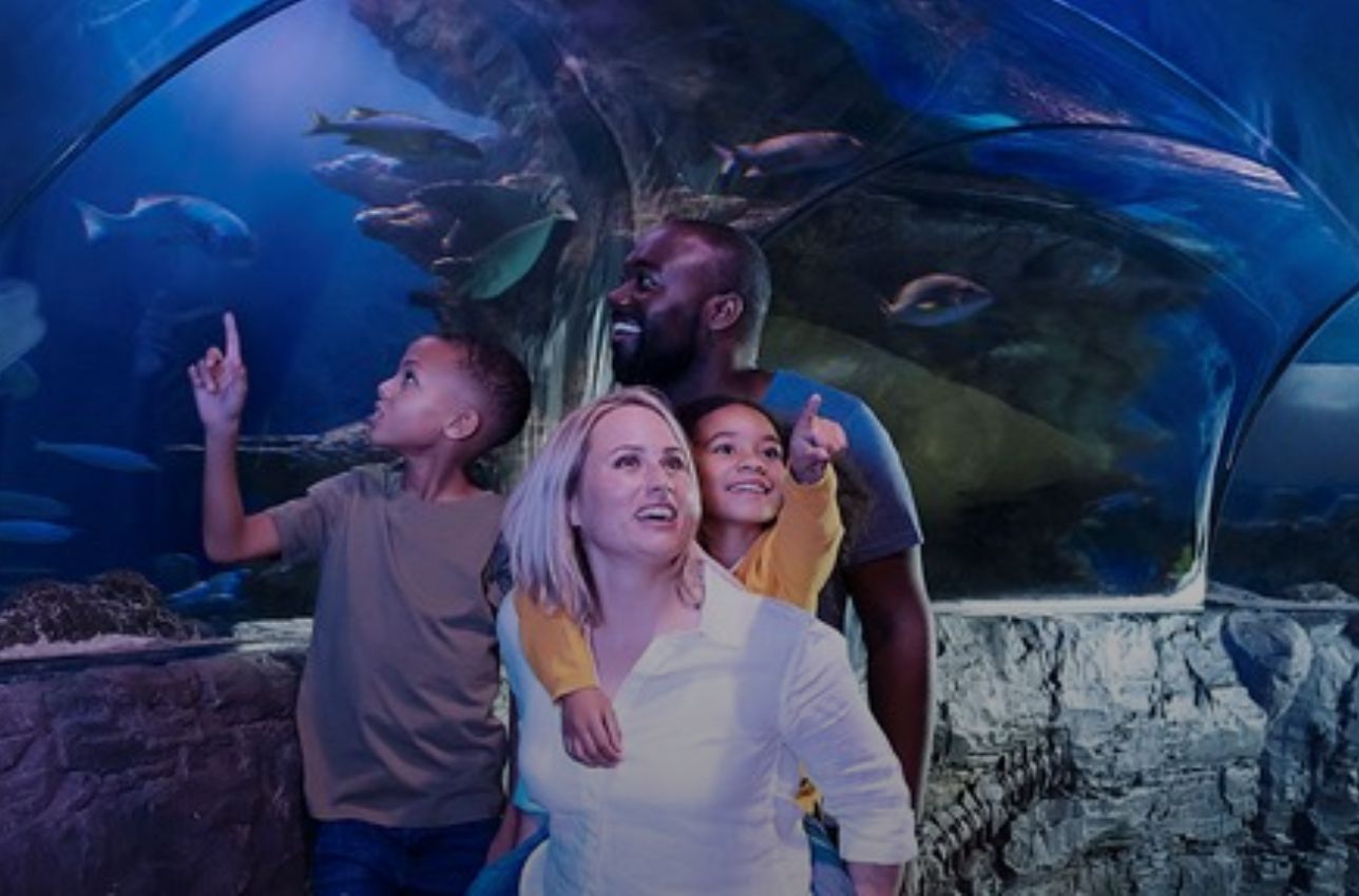 SeaLife Loch Lomond - VisitSeeDo