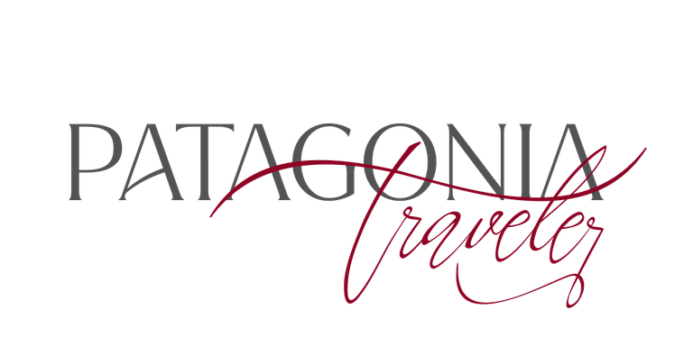 PATAGONIA TRAVELER