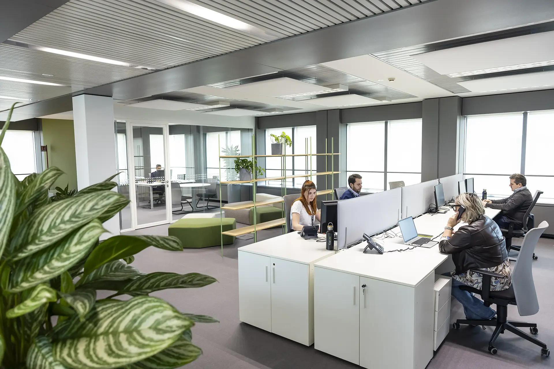 Uffici Car Clinic, luminoso e spazioso open space con impiegati a lavoro