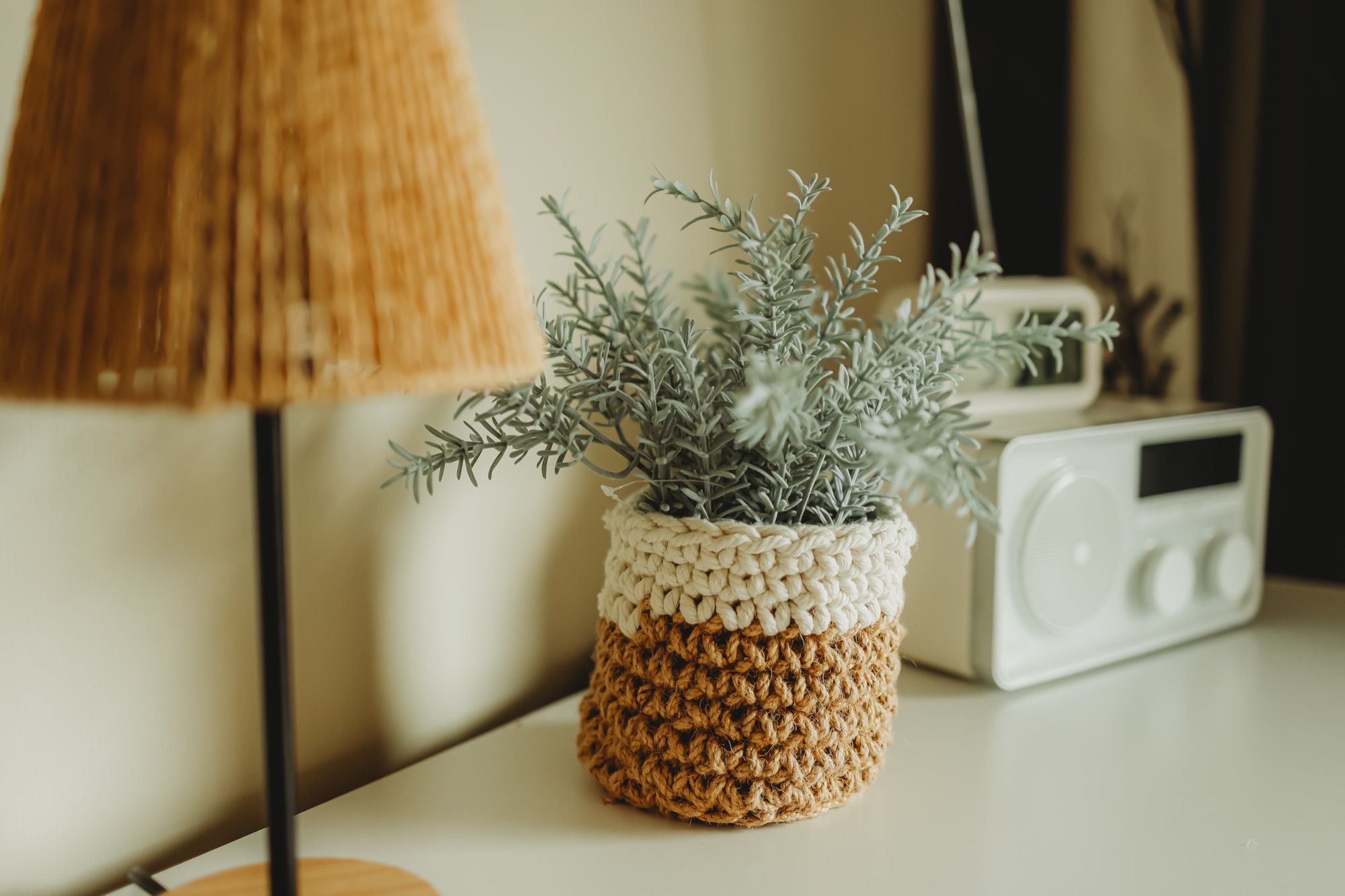 Schemerlamp, plant en radio op de kast