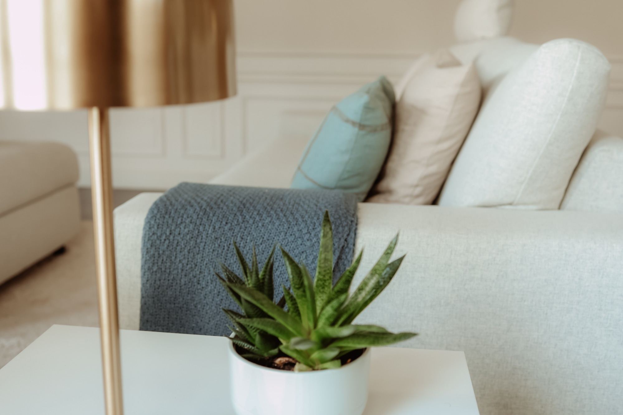 Een plaid over de zetel, met een plantje op de salontafel